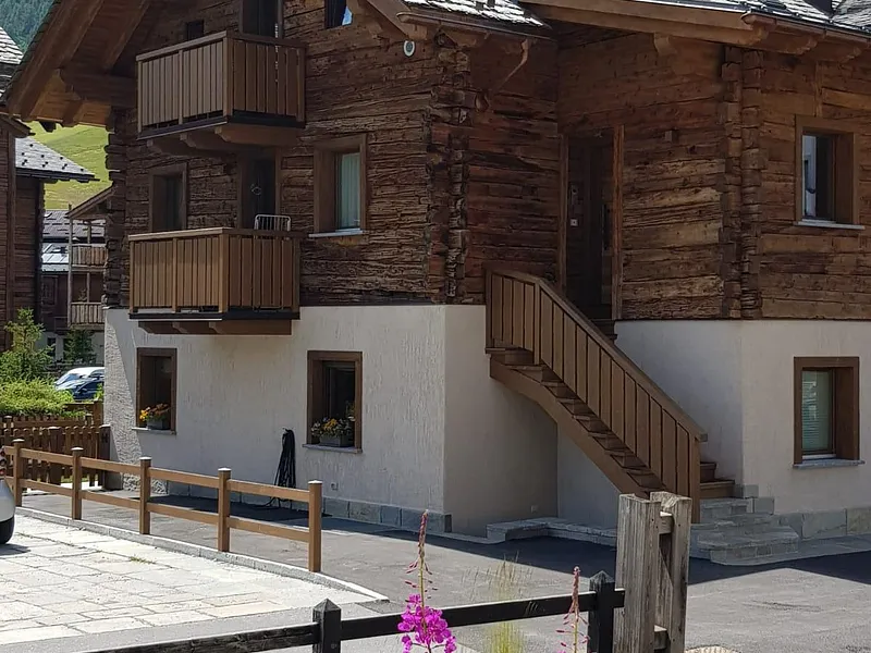 Chalet Shany-0