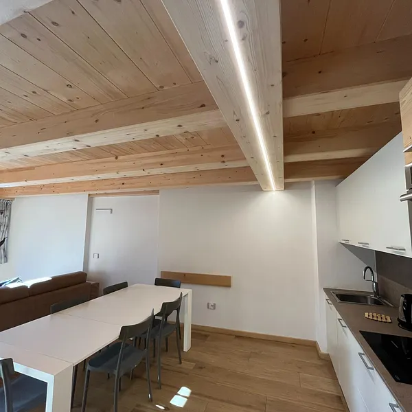 Chalet Shany