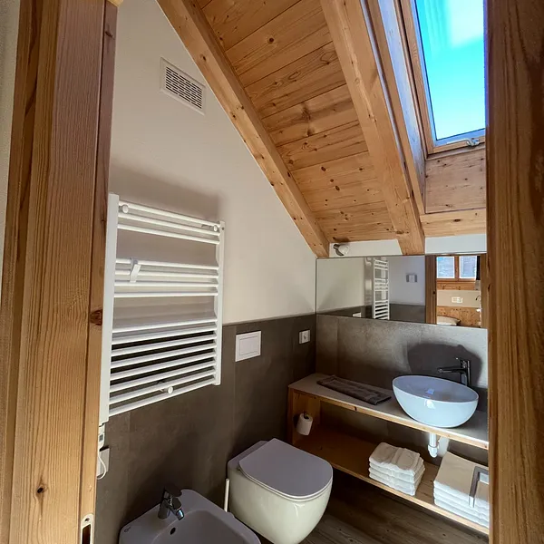 Chalet Shany