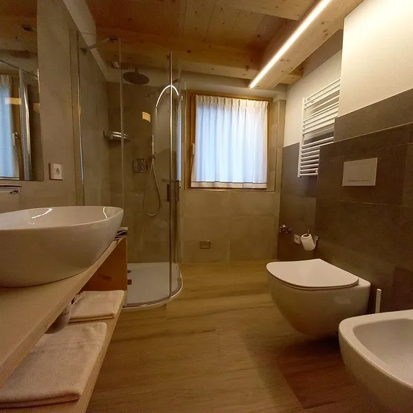 Chalet Shany