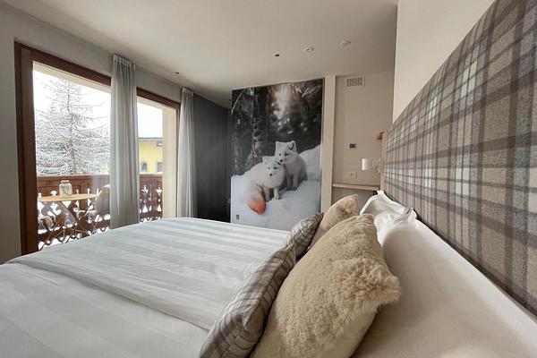 Suite Alpina On 2 Levels