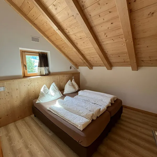Chalet Shany