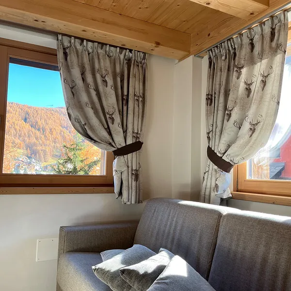 Chalet Shany