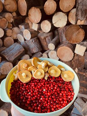 Angelica Appartamenti