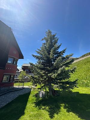 Chalet Dante