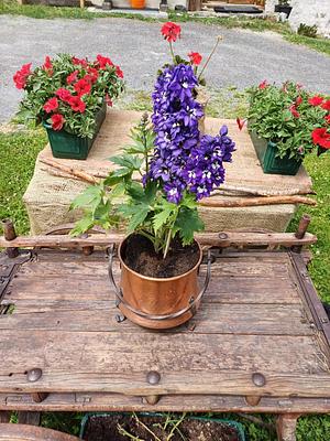 Chalet Renzo Livigno