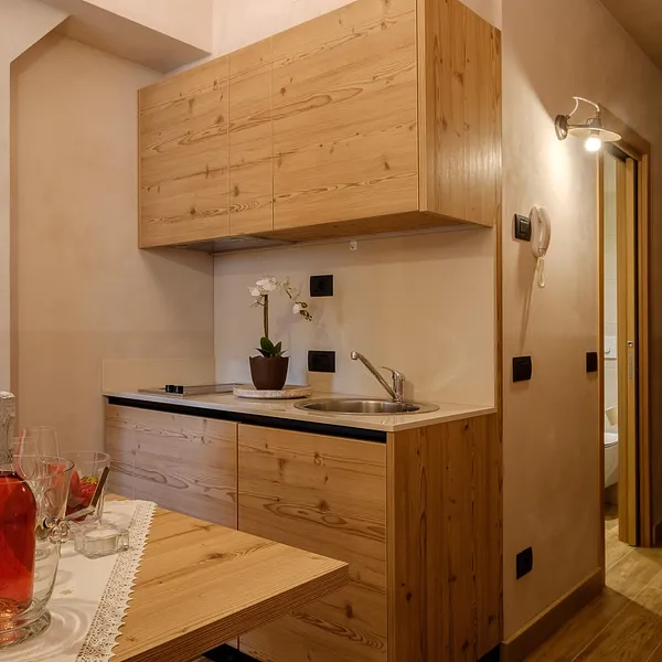 Studio Apartment Standard-0