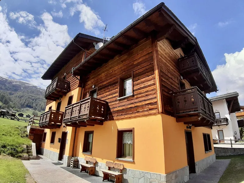 Chalet Sunflower-0