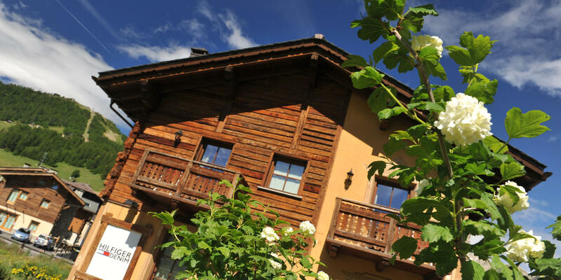 Chalet Layla