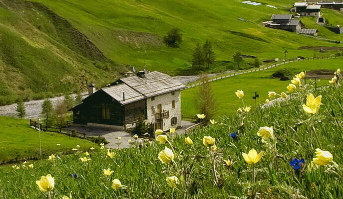 Casa Chestel